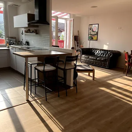 Large Duplex, Heart Of Village * Ascain